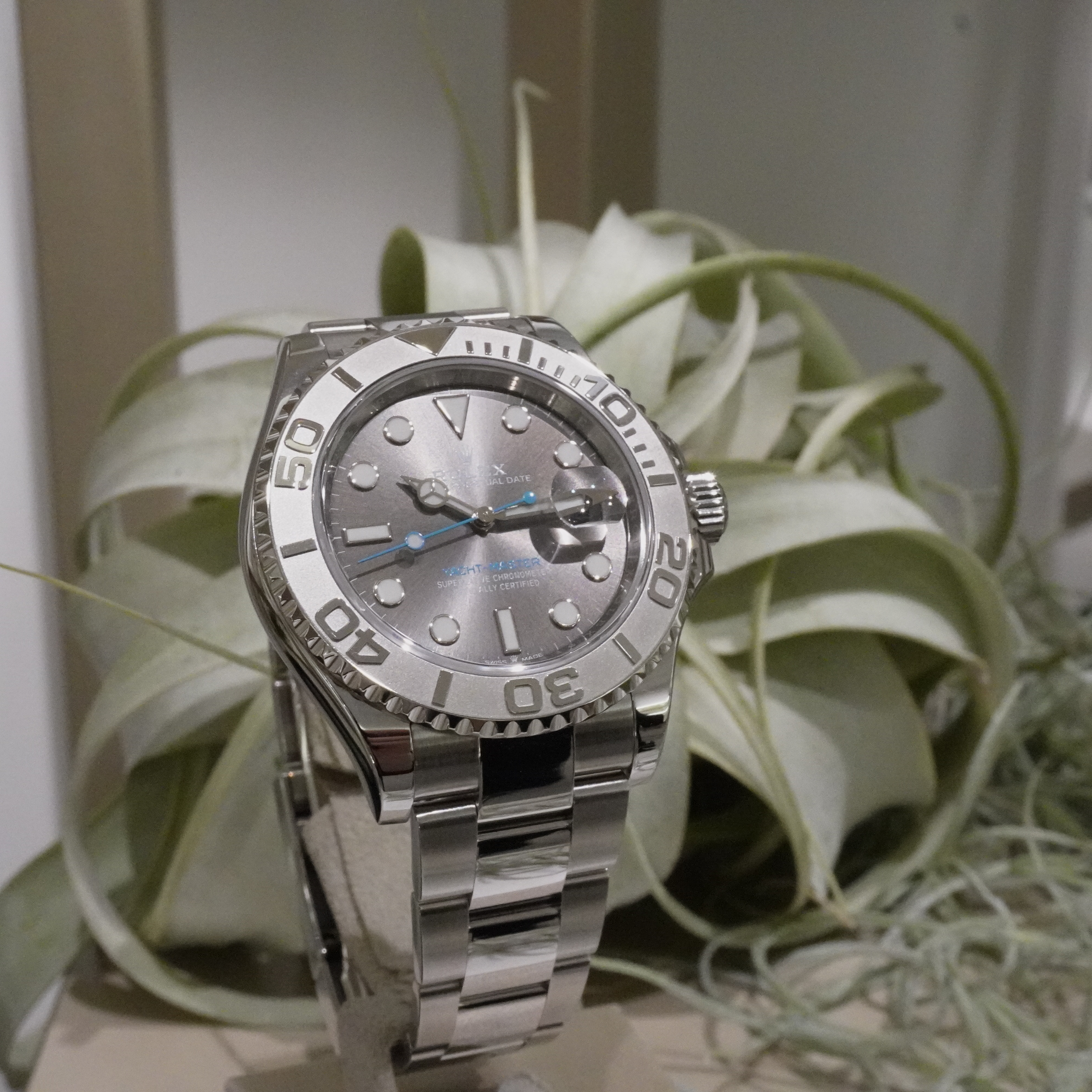 夏にオススメのヨットマスターをご紹介 | 時計専門店GMTのブログ