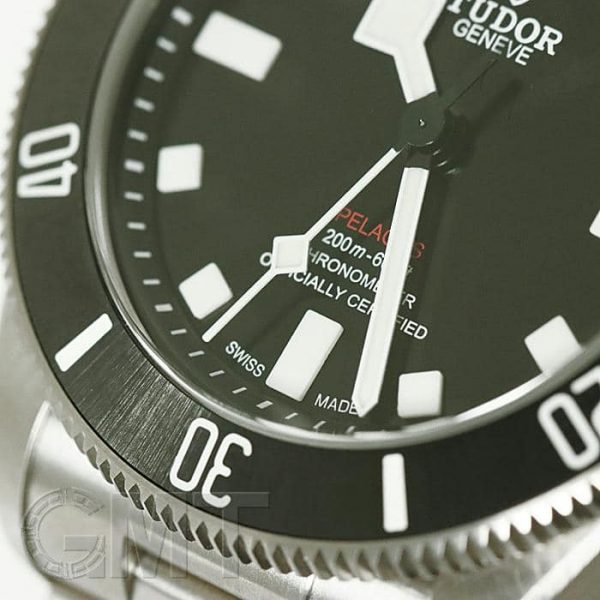 TUDOR チューダー ぺラゴス 39 25407N-0001