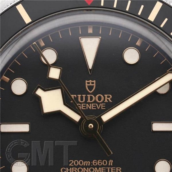 TUDOR チューダー ブラックベイ フィフティエイト 79030N-0001