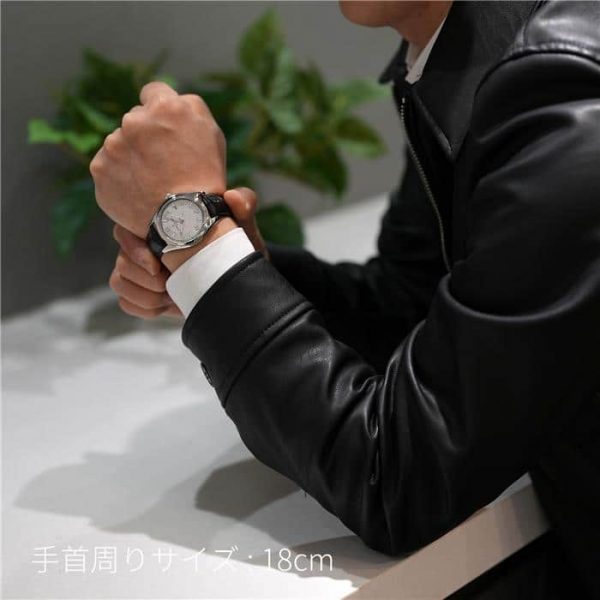 VACHERON CONSTANTIN ヴァシュロン・コンスタンタン フィフティーシックス オートマティック 4600E/000A-B442