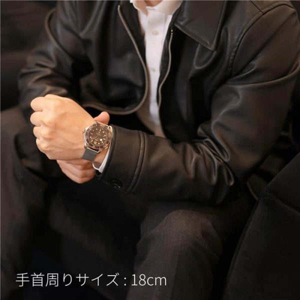 OMEGA オメガ シーマスター ダイバー300M マスタークロノメーター 007エディション 210.92.42.20.01.001 ブレスレット仕様