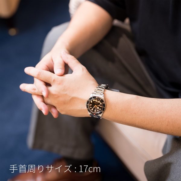 TUDOR チューダー ブラックベイ 58 79030N-0001
