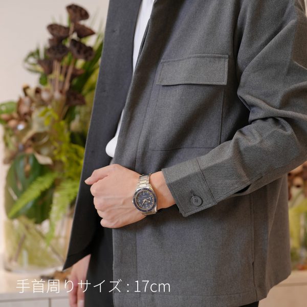 OMEGA オメガ シーマスター 300 マスターコーアクシャル 41mm 233.90.41.21.03.001