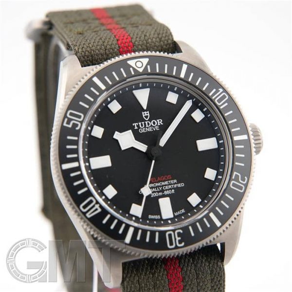 TUDOR チューダー ぺラゴス FXD M25717N-0001