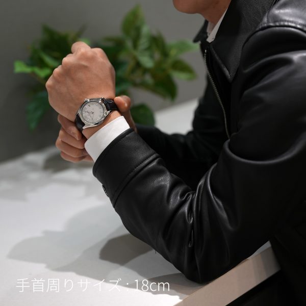 VACHERON CONSTANTIN ヴァシュロン・コンスタンタン フィフティーシックス オートマティック 4600E/000A-B442