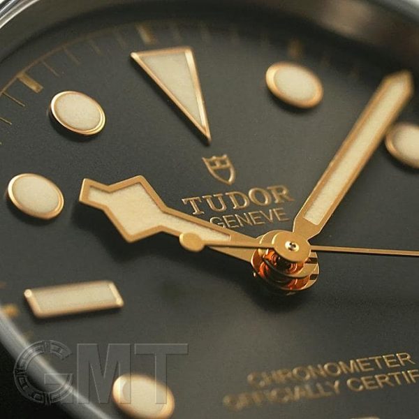 TUDOR チューダー ブラックベイ 39 79660-0001 アンスラサイト