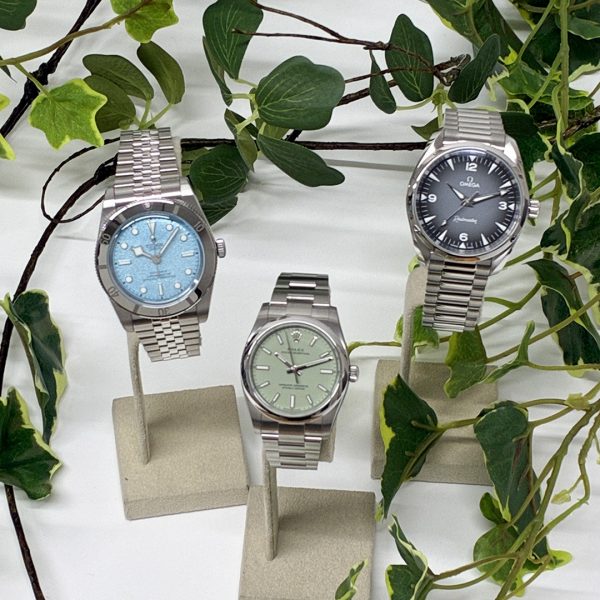 【2025年総括】 専門店スタッフが選ぶ、今年の新作【ROLEX/TUDOR/OMEGA】