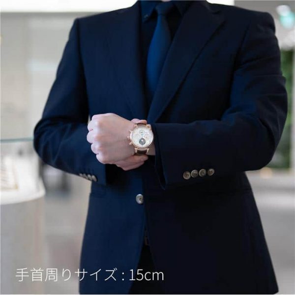 IWC インターナショナルウォッチカンパニー ダ・ヴィンチ パーペチュアルカレンダー クロノグラフ IW392101