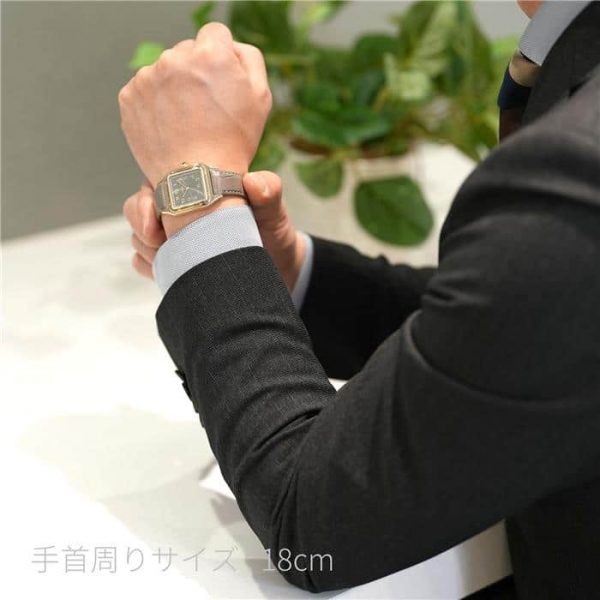 CARTIER カルティエ サントス デュモン LM WGSA0097 グレーラッカー