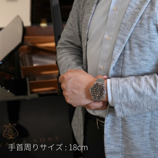 OMEGA オメガ シーマスター ダイバー300M マスタークロノメーター 007エディション 210.90.42.20.01.001