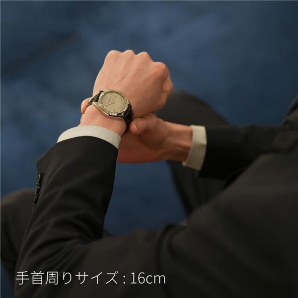 VACHERON CONSTANTIN ヴァシュロン・コンスタンタン フィフティーシックス オートマティック 4600E/000A-B442