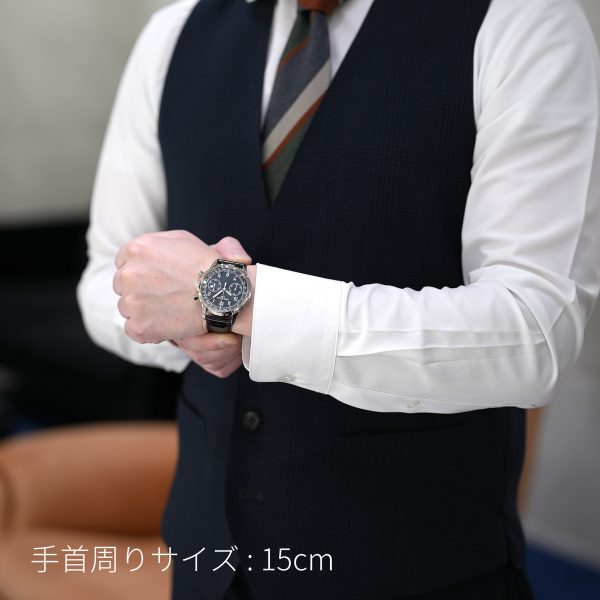 PATEK PHILIPPEパテック・フィリップ コンプリケーテッド・ウォッチ クロノグラフ 5172G-001