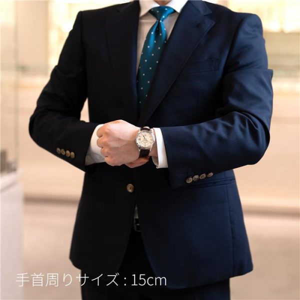 SEIKO セイコー グランドセイコー エレガンスコレクション 9Sメカニカル GMT SBGM221【未使用品】 