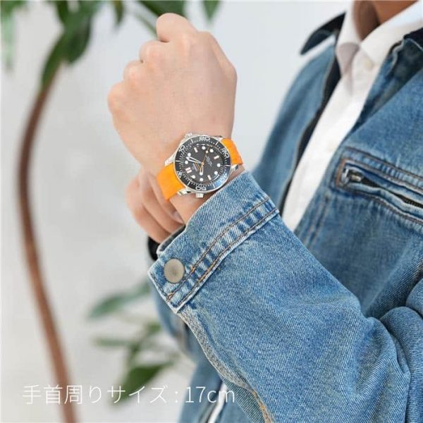 OMEGA オメガ シーマスター ダイバー 300M 210.32.42.20.01.006
