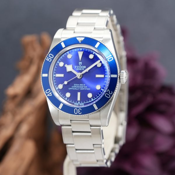 TUDOR チューダー ブラックベイ 54 M79000B-0001【2026年新作】