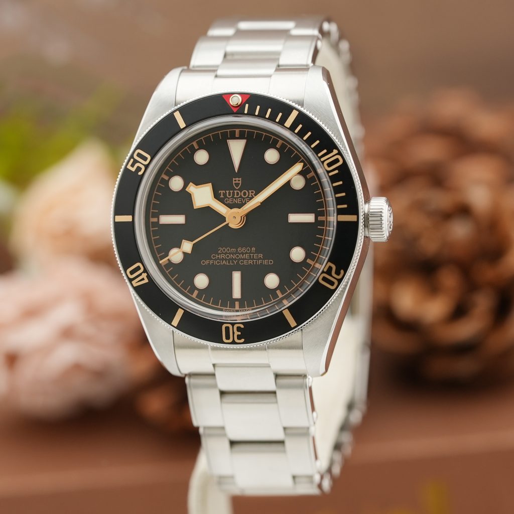 TUDOR チューダー ブラックベイ 58 M79030N-0001