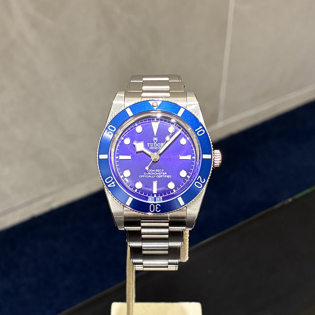 休日におすすめの腕時計2選！TUDOR ブラックベイ 54 / BREGUET マリーン