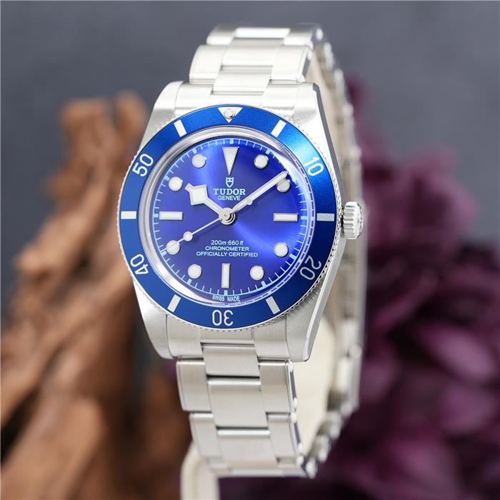 TUDOR チューダー ブラックベイ 54 M79000B-0001