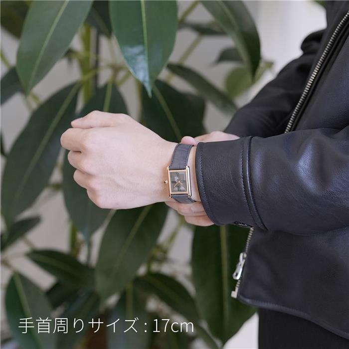 CARTIER カルティエ タンク ルイ WGTA0092