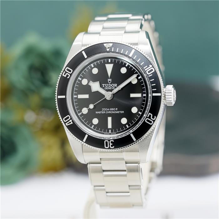 TUDOR チューダー ブラックベイ M7941A1A0NU-0001