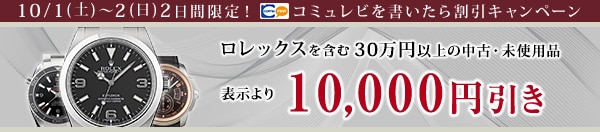 レビューを書いて10,000円引き