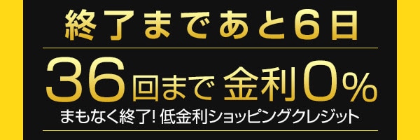 36回無金利の分割払い