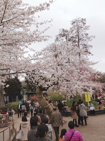 井の頭公園